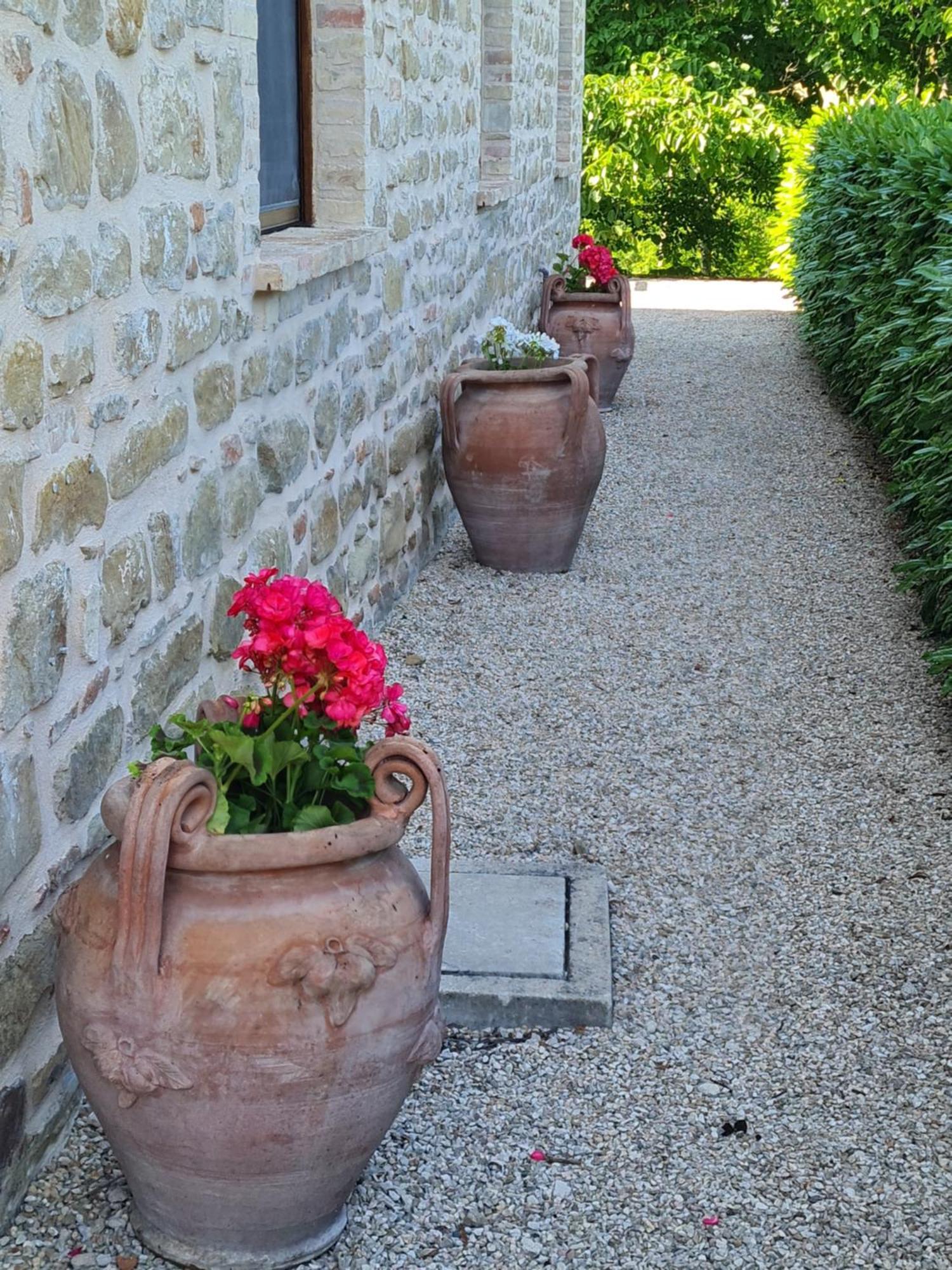 La Mela Rosa Bed & Breakfast Amandola Zewnętrze zdjęcie